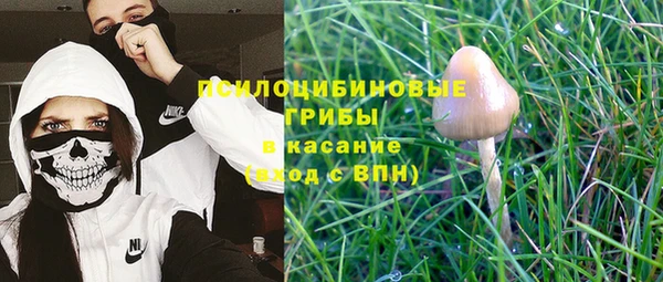 прущий лед Козловка