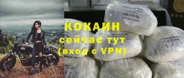 прущий лед Козловка