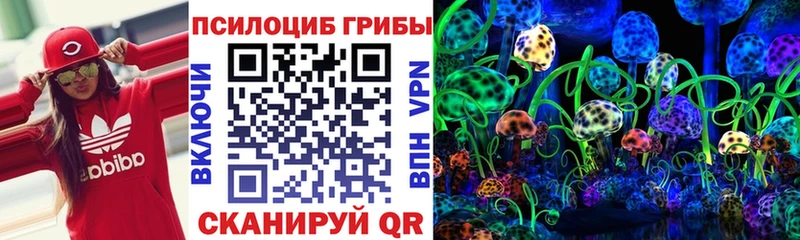 Галлюциногенные грибы MAGIC MUSHROOMS  Купить где  Беслан 